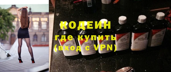 хмурый Лиски