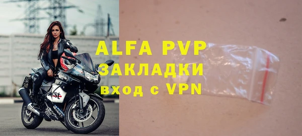 индика Билибино