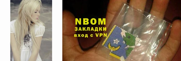 хмурый Бикин